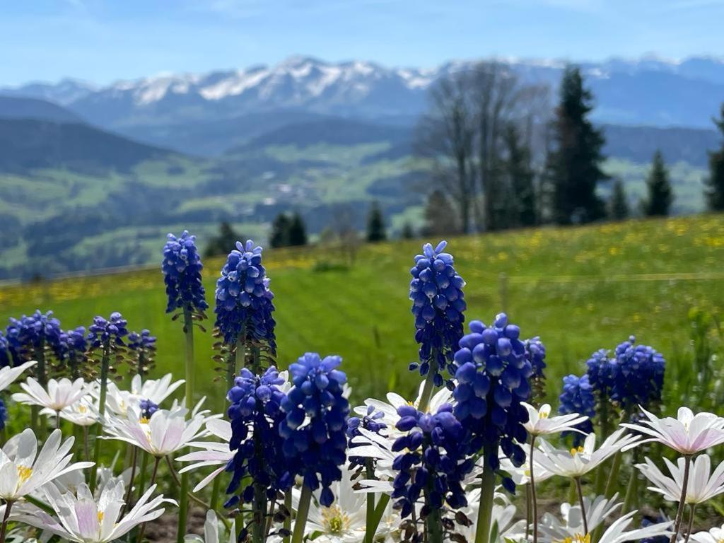 Fruehstueckspension Bilgeri Sulzberg  Exterior foto