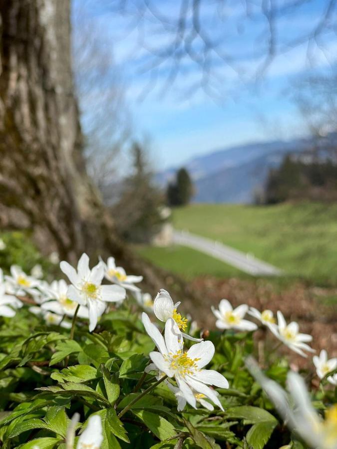 Fruehstueckspension Bilgeri Sulzberg  Exterior foto